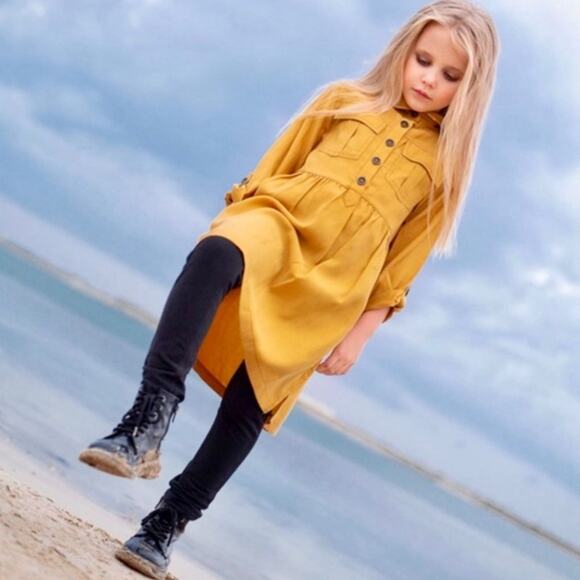 Zara Long Sleeve Button Down Dress - Picture 3 of 3